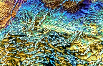 AP 167A1